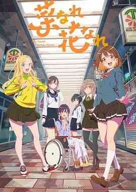 亦叶亦花《亦叶亦花》免费在线播放｜日本动画剧情励志