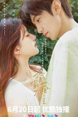 《偷偷藏不住》免费在线播放｜剧情,爱情·中国大陆