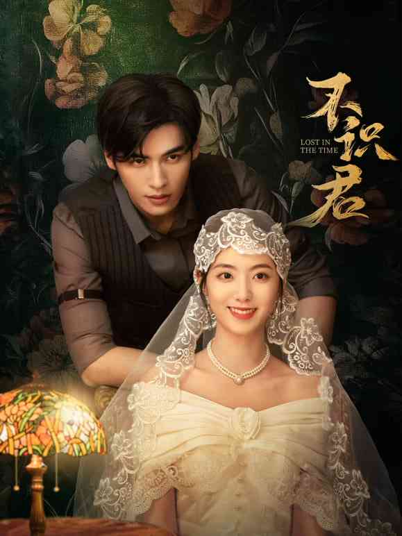 《不识君》免费在线播放｜剧情·中国大陆