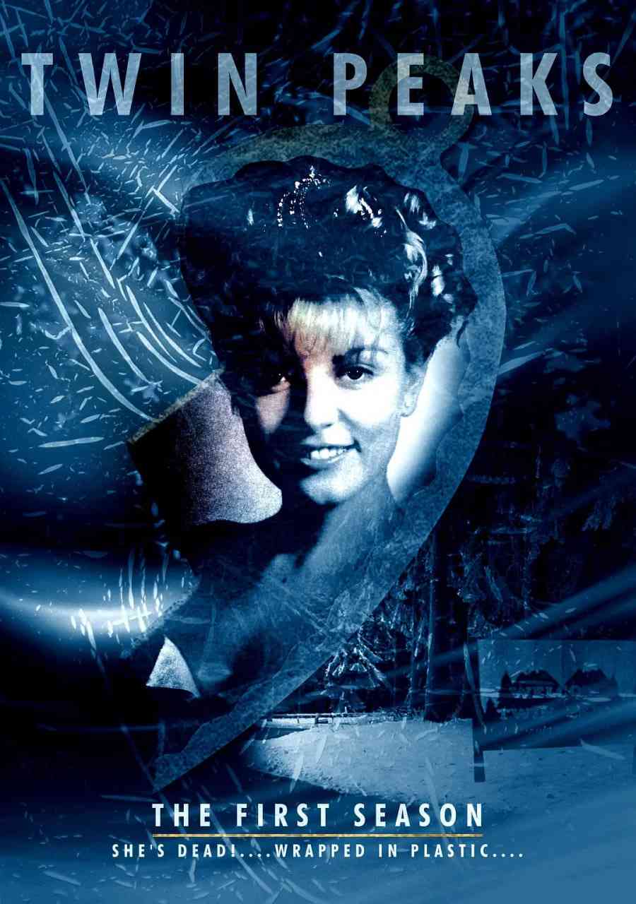 《双峰 第一季》免费在线播放｜剧情,科幻,悬疑,惊悚,犯罪·美国