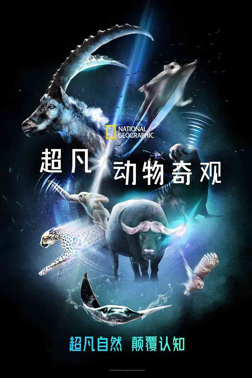 《超凡动物奇观》免费在线播放｜纪录片·美国