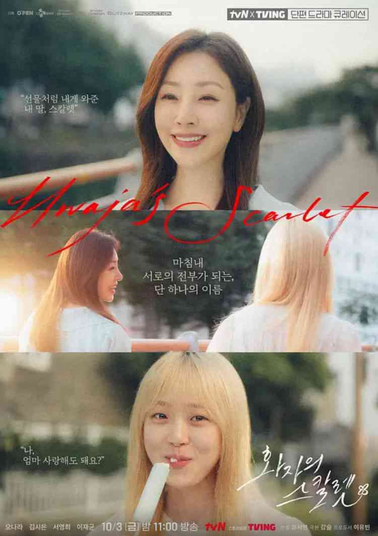 《花子的斯嘉丽》免费在线播放｜剧情·韩国