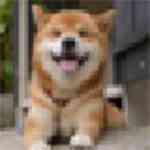 《久沁网课助手v1.4》免费下载|学习工具·1.4