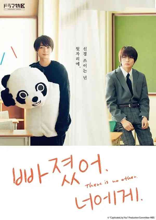 《对你着迷》免费高清无广告在线播放|剧情·日本·2021