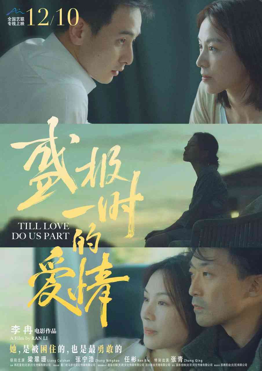 《盛极一时的爱情》免费高清无广告在线播放|剧情,爱情·中国大陆·2022