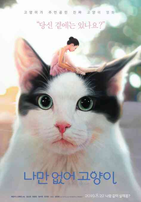 《只有我没有猫》免费高清无广告在线播放|剧情·韩国·2019