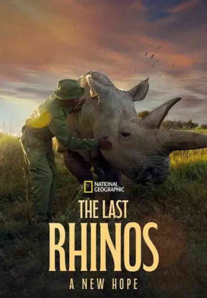 《最后的犀牛：新希望》免费高清无广告在线播放|纪录片·美国·2025