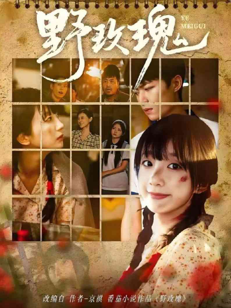 《野玫瑰》免费高清无广告在线播放|短剧·中国大陆·2025