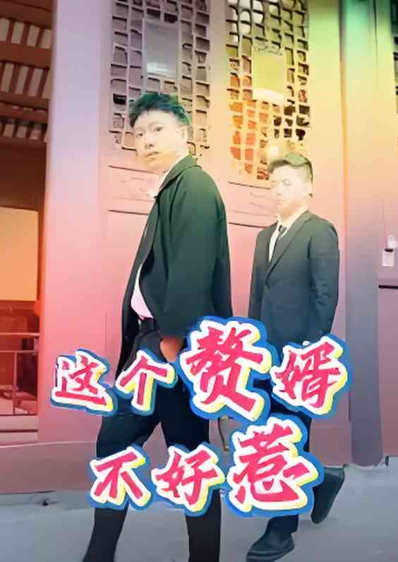 《这个赘婿不好惹》免费高清无广告在线播放|短剧·中国大陆·2025