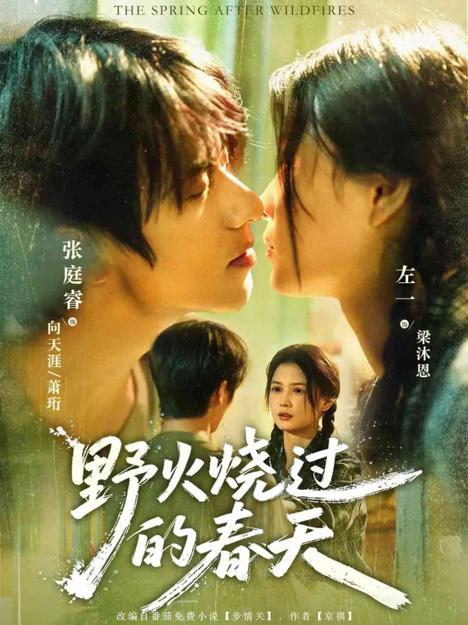 《野火烧过的春天》免费高清无广告在线播放|短剧·中国大陆·2025