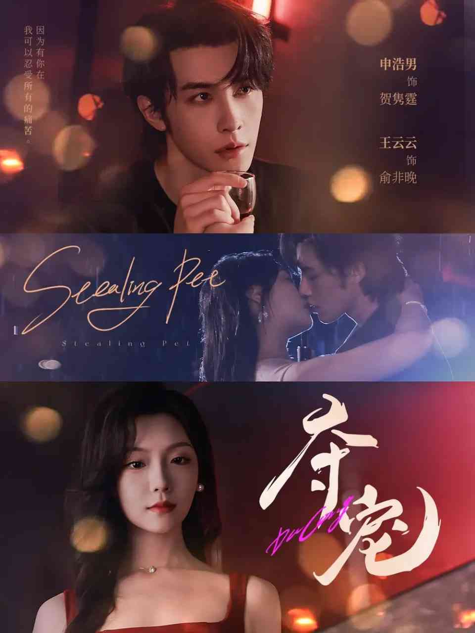 《夺宠》免费高清无广告在线播放|短剧·中国大陆·2025