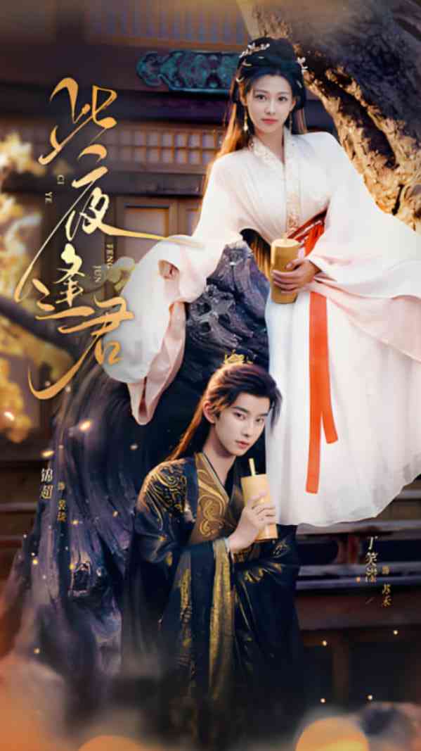 《此夜逢君》免费高清无广告在线播放|短剧·中国大陆·2025