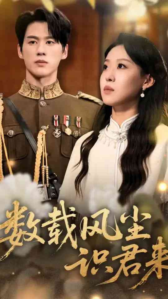 《数载风尘识君来》免费高清无广告在线播放|短剧·中国大陆·2025