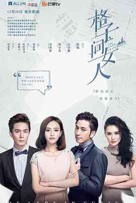 《格子间女人》免费高清无广告在线播放|剧情,爱情·中国大陆·2014