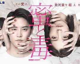 《蜜与毒～逆恨的复仇》免费高清无广告在线播放|剧情,日剧·日本·2024