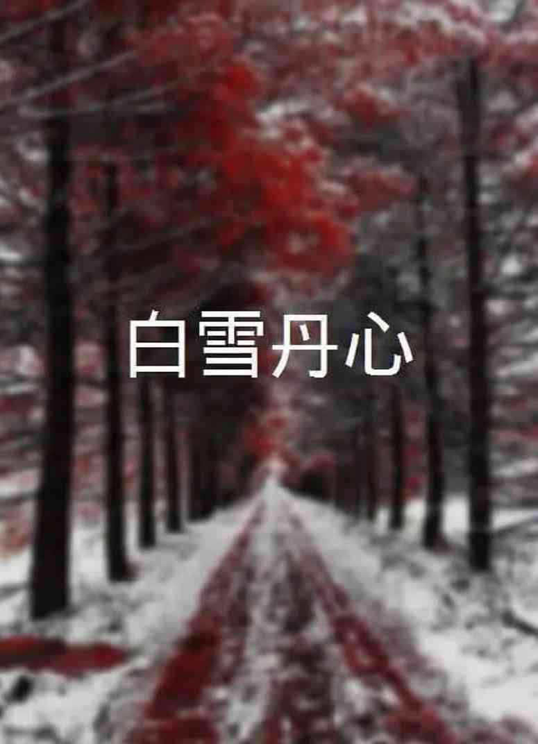 《白雪丹心》免费高清无广告在线播放|剧情·中国大陆·2007