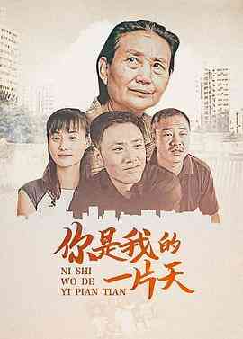 《儿子》免费高清无广告在线播放|剧情·中国大陆·2008