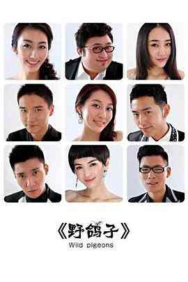 《野鸽子》免费高清无广告在线播放|剧情,爱情·中国大陆·2012