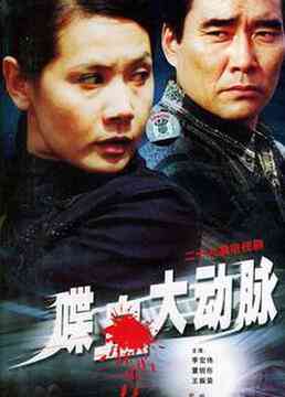 《喋血大动脉》免费高清无广告在线播放|剧情,犯罪·中国大陆·2005