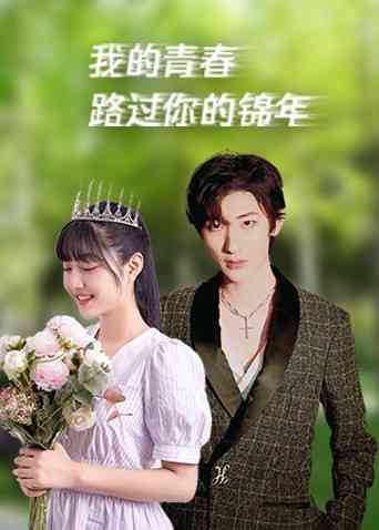 《我的青春路过你的锦年》免费高清无广告在线播放|剧情.爱情·中国大陆·2017