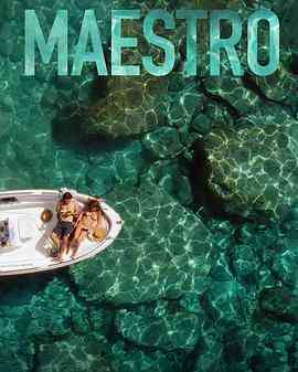 《大师》免费高清无广告在线播放|剧情,爱情,惊悚,犯罪·希腊·2022