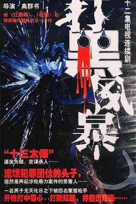 《打黑风暴》免费高清无广告在线播放|剧情,犯罪·中国大陆·2003