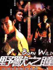 《野兽之瞳》免费高清无广告在线播放|动作,剧情·中国香港·2001