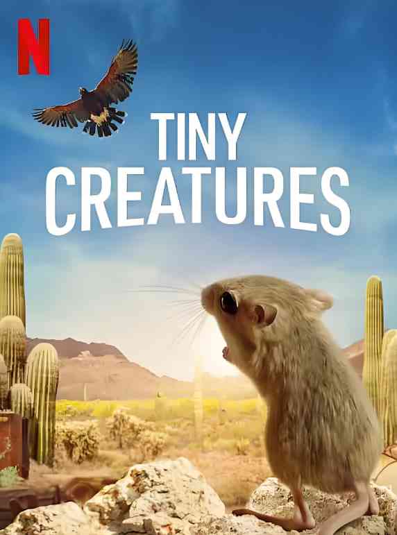 《微观世界》免费高清无广告在线播放|纪录片·美国·2020