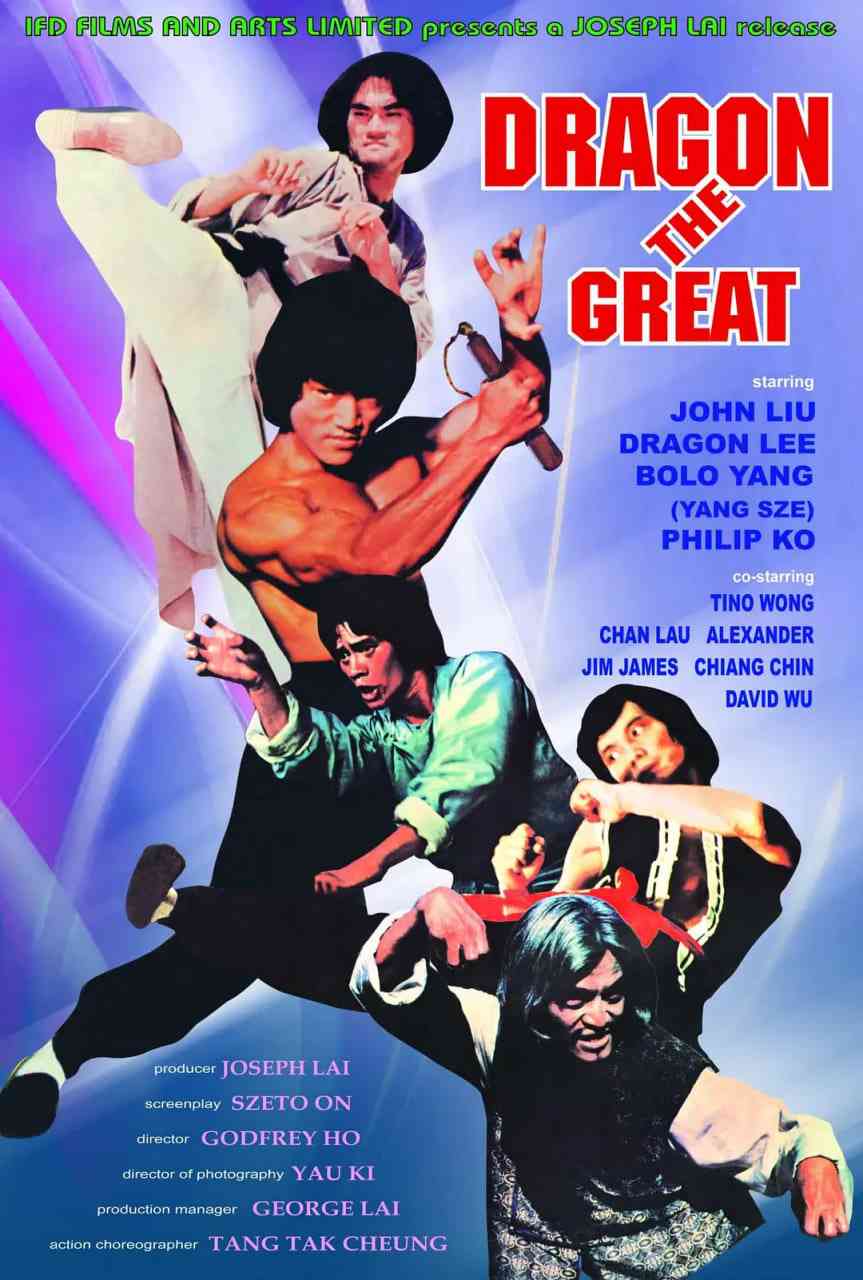 《杂家高手》免费高清无广告在线播放|剧情,动作,武侠·中国台湾·1980