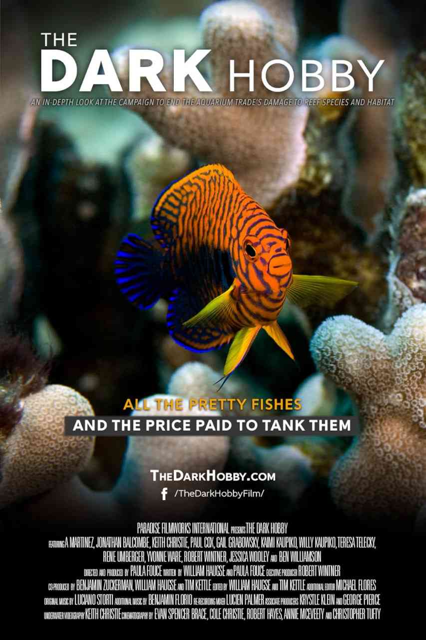 《黑暗嗜好》免费高清无广告在线播放|纪录片·美国·2021