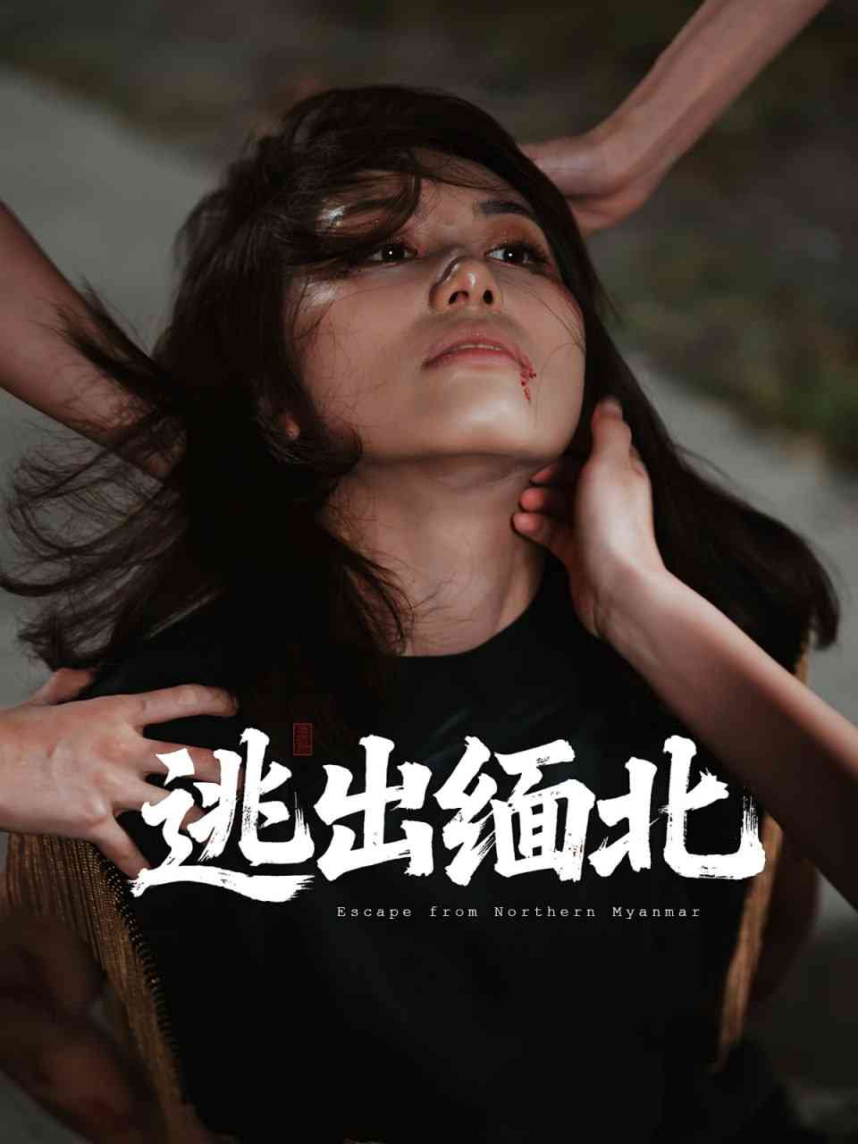 《逃出缅北》全集免费高清短剧无广告在线播放|短剧·中国大陆·2025