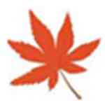 《枫叶iPhone视频转换器v14.1.0.0》软件免费下载|网络工具·14.1.0.0