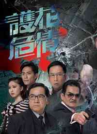 《护花危情》全集免费高清电视剧无广告在线播放|香港,港澳·香港·2012