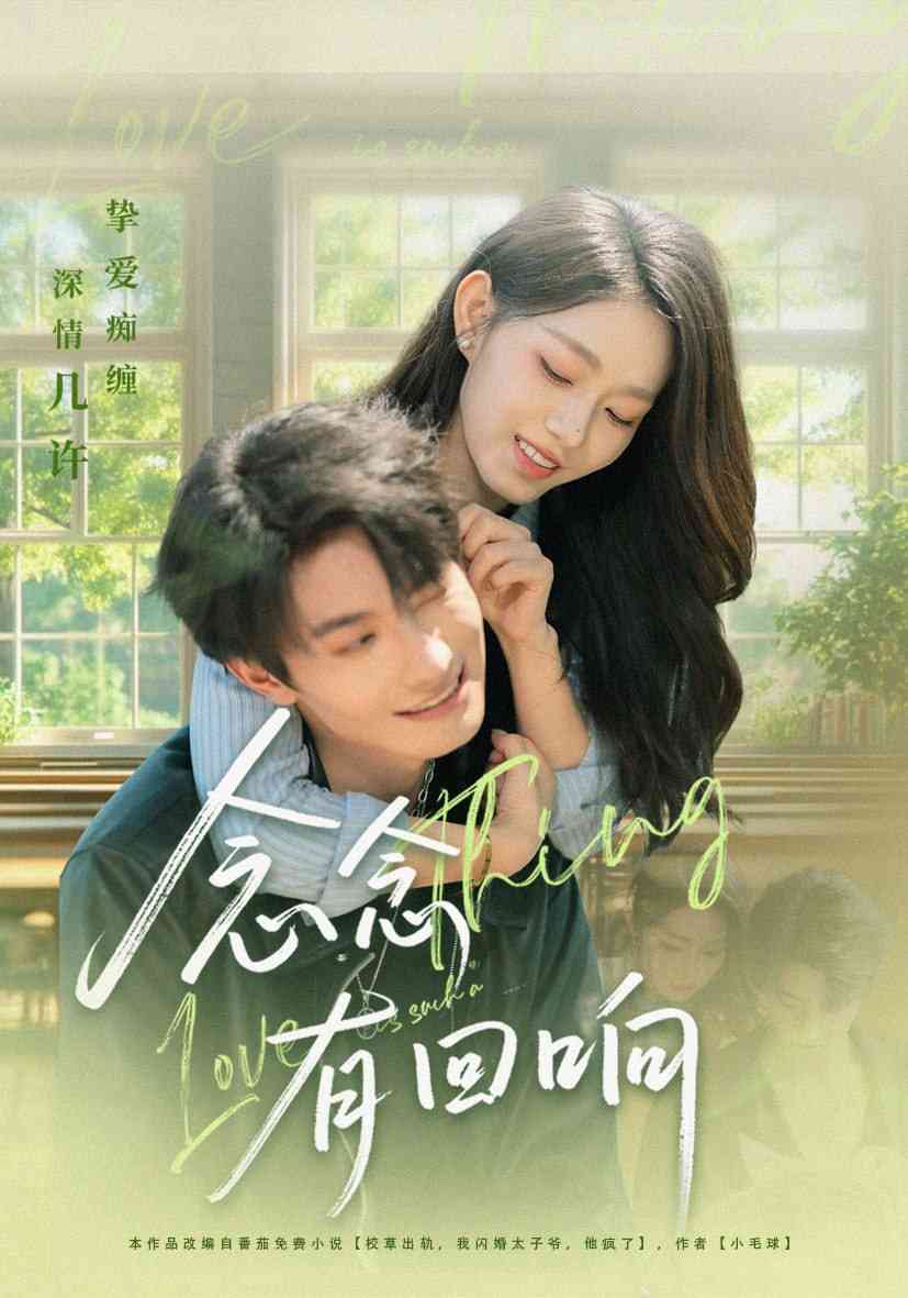 《念念有回响》全集免费高清短剧无广告在线播放|短剧·中国大陆·2025