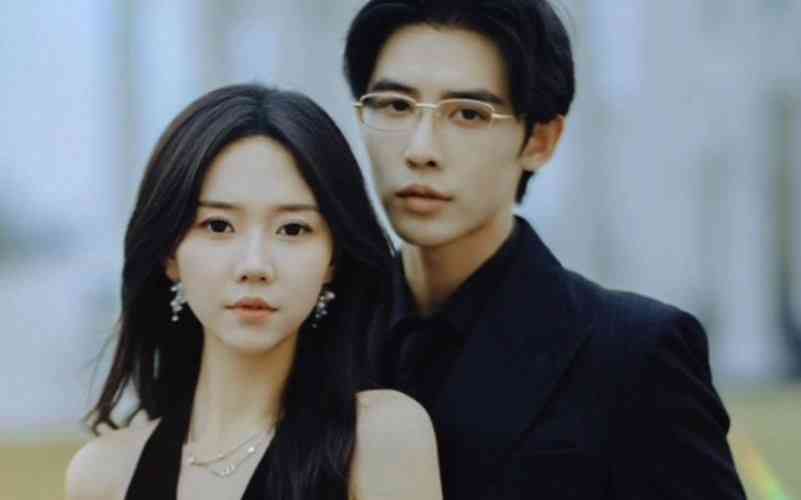 《秘密继承人》全集免费高清短剧无广告在线播放|短剧·中国大陆·2024