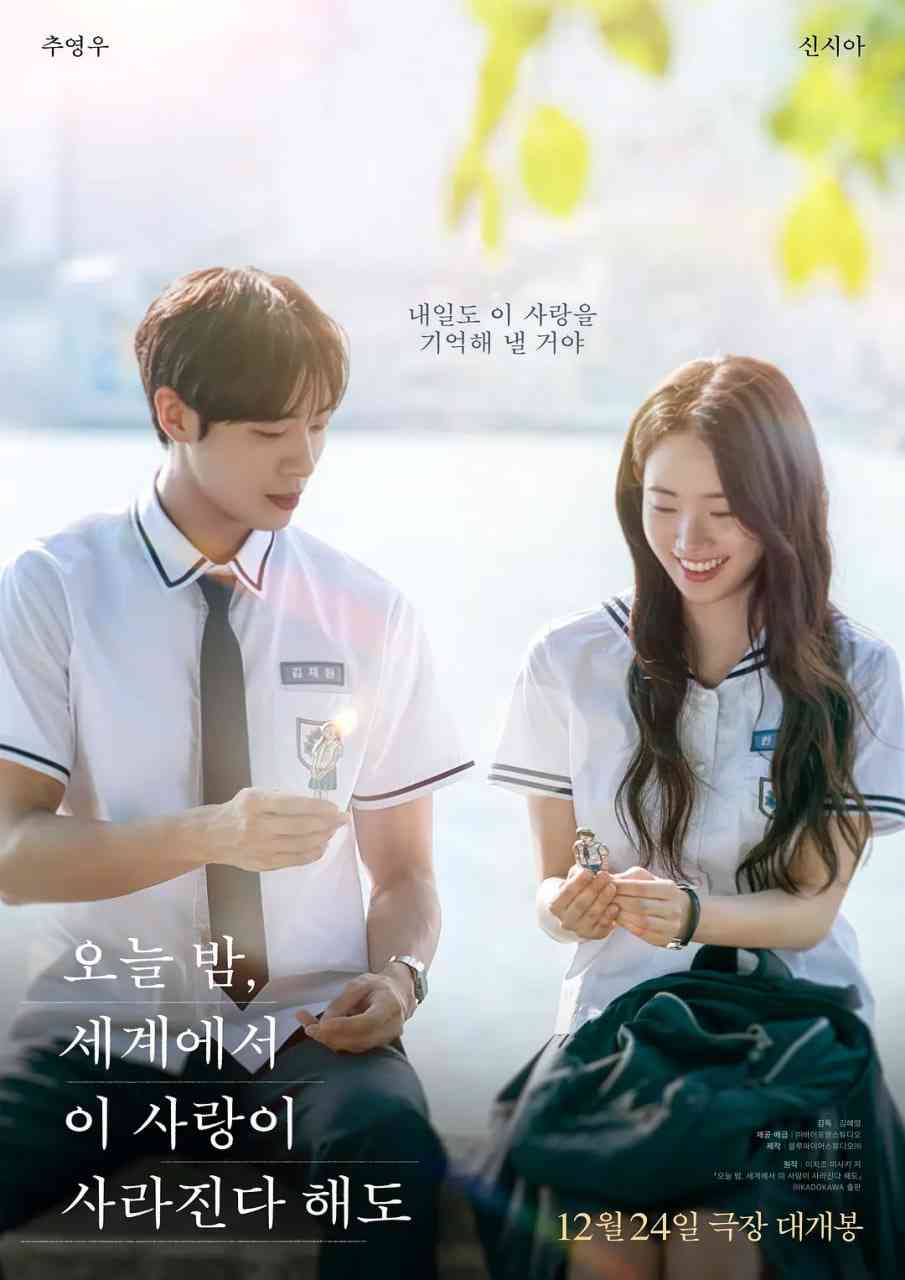 《今夜，就算这份爱恋从世界上消失》最新免费高清电影无广告在线播放|爱情·韩国·2025