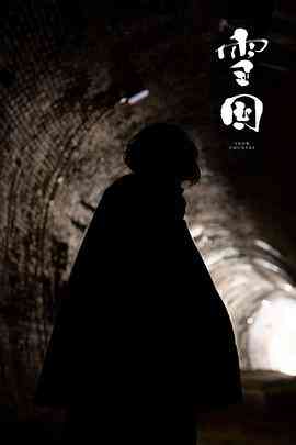 《雪国》最新免费高清电影无广告在线播放|剧情,爱情·日本·2022  第1张