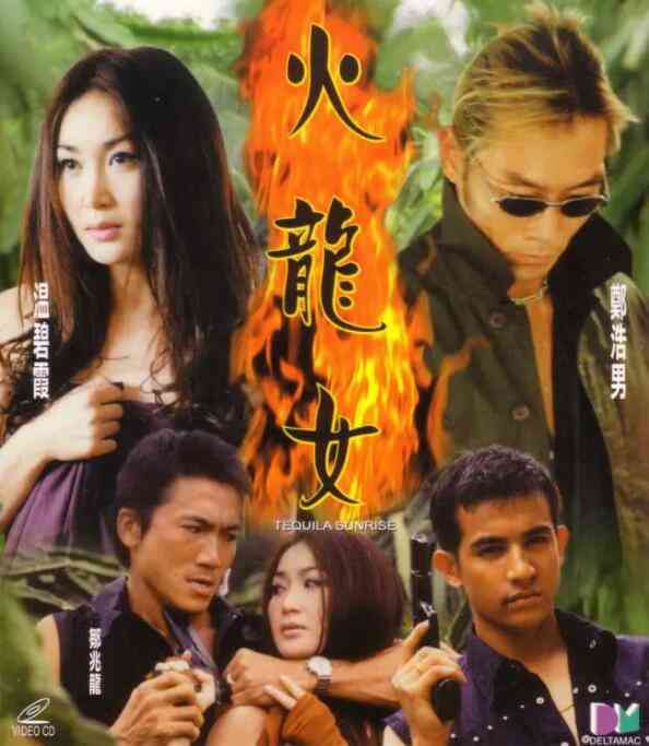 《火龙女》最新免费高清电影无广告在线播放|犯罪·中国香港·2000  第1张