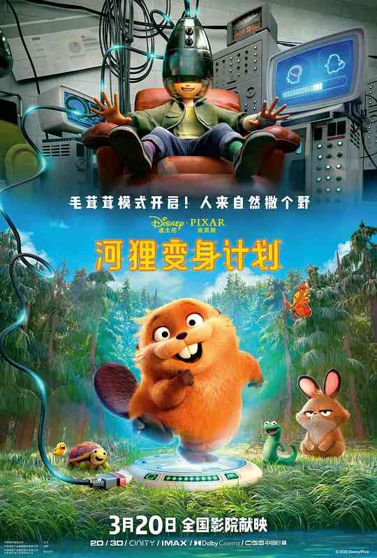 《河狸变身计划》最新免费高清电影无广告在线播放|喜剧,科幻,动画·美国·2026