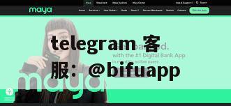 利用菲律宾第三方支付服务的力量：深入了解 BifuPay