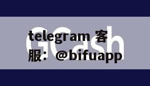 解析菲律宾第三方支付通道：币付Pay及Gcash的全方位使用指南