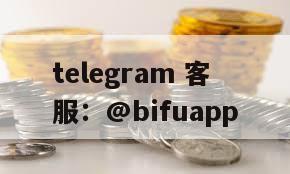 菲律宾商家优选！B pay D0代收付通道，稳定高效助力业务腾飞！